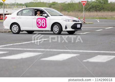License car driving school License car driving school 114290018