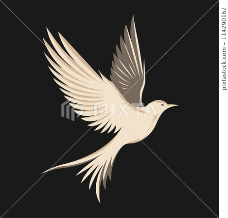wings of birds on dark background wings of birds on dark background 114290162