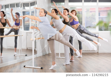 Elderly woman practicing arabesque in beginner ballet group Elderly woman practicing arabesque in beginner ballet group 114290215