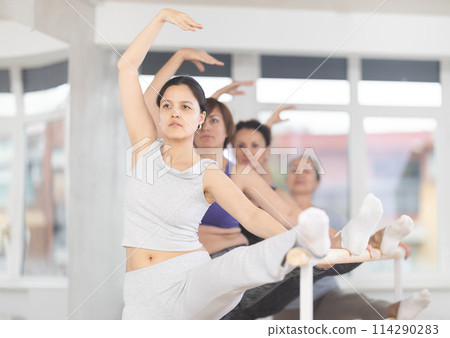 Woman with group of ballet beginners stretching at barre in studio Woman with group of ballet beginners stretching at barre in studio 114290283