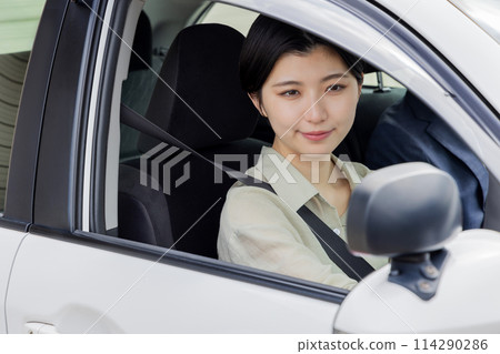 License, car, driving school, rear view License, car, driving school, rear view 114290286