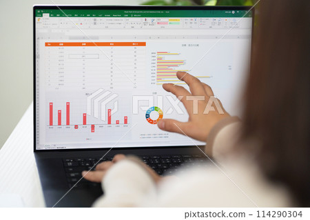 A woman thinking while looking at a graph on a computer screen 114290304