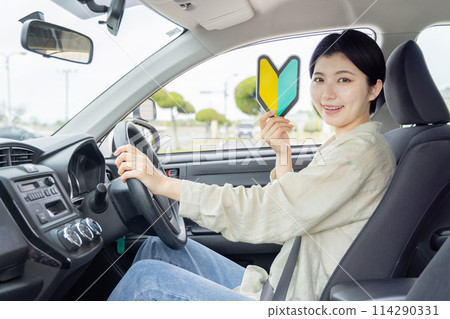 License car driving school 114290331
