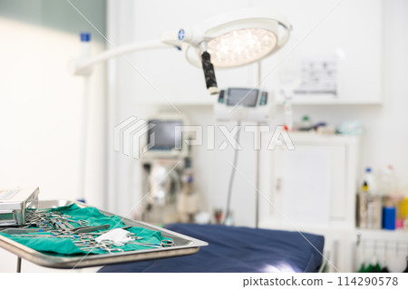 Veterinary operating room with sterile instruments, surgical table and lamp 114290578