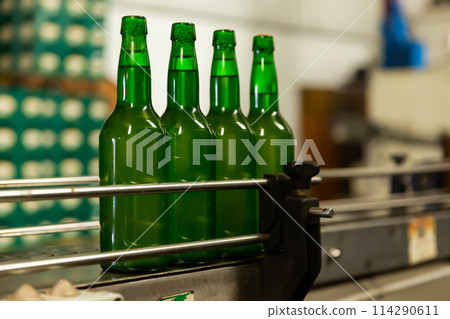 Bottles of cider on bottling line Bottles of cider on bottling line 114290611