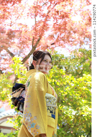 Adult woman wearing a yellow patterned furisode, adult furisode kimono location photo shoot, coming-of-age ceremony Adult woman wearing a yellow patterned furisode, adult furisode kimono location photo shoot, coming-of-age ceremony 114290774