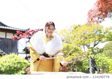 Adult woman wearing a yellow patterned furisode, adult furisode kimono location photo shoot, coming-of-age ceremony 114290779