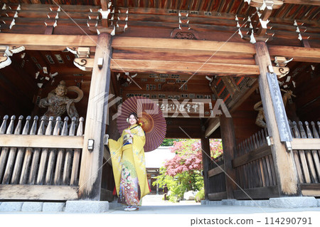 Adult woman wearing a yellow patterned furisode, adult furisode kimono location photo shoot, coming-of-age ceremony Adult woman wearing a yellow patterned furisode, adult furisode kimono location photo shoot, coming-of-age ceremony 114290791