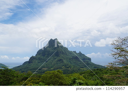 View from Belvedere Lookout, Moorea 114290957