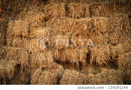 Dry straw bale and agricultural byproducts. stacked yellow straw bales for animal fodder and livestock bedding. Straw bales in sustainable farming. Agricultural byproducts. Agricultural practices. 114291249