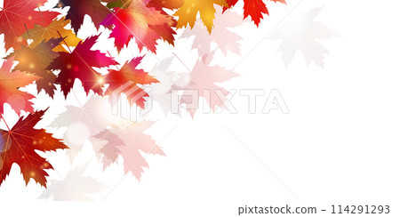 秋葉秋天背景 114291293