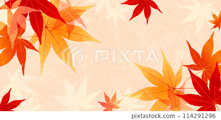 Autumn leaves autumn background 114291296
