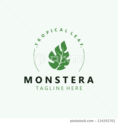 Monstera deliciosa leaf nature logo design, flat plant icon design illustration template 114291701