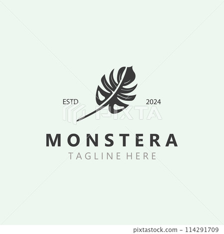 Monstera deliciosa leaf nature logo design, flat plant icon design illustration template Monstera deliciosa leaf nature logo design, flat plant icon design illustration template 114291709
