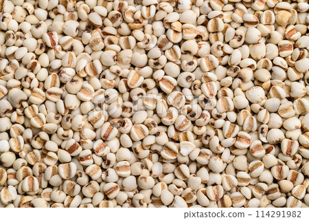 Dried Job's tears or adlay millet, food background Dried Job's tears or adlay millet, food background 114291982
