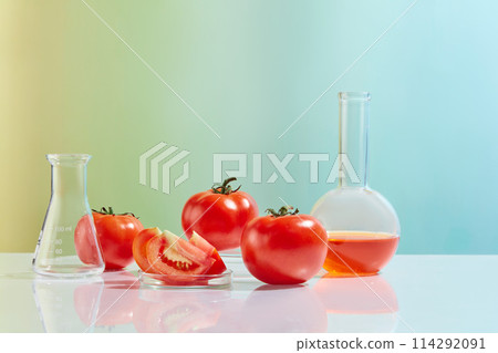 Natural tomato ingredients and laboratory equipments neatly arranged on table against gradient texture, boiling flask, erlenmeyer flask and petri dish. Front view, copy space 114292091