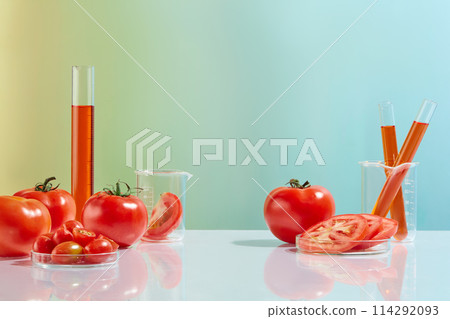 Plenty natural tomatoes featured on white table with laboratory glassware consist of measuring cylinder, test tube, petri dish and beaker. Blank space for advertising, front view Plenty natural tomatoes featured on white table with laboratory glassware consist of measuring cylinder, test tube, petri dish and beaker. Blank space for advertising, front view 114292093