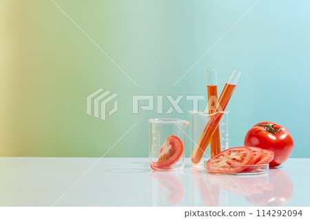 Front view photo at gradient background, a petri dish of tomato slices, test tube with tomato extract and a tomato piece in beaker placed on white flat form. Space for designing and advertising Front view photo at gradient background, a petri dish of tomato slices, test tube with tomato extract and a tomato piece in beaker placed on white flat form. Space for designing and advertising 114292094