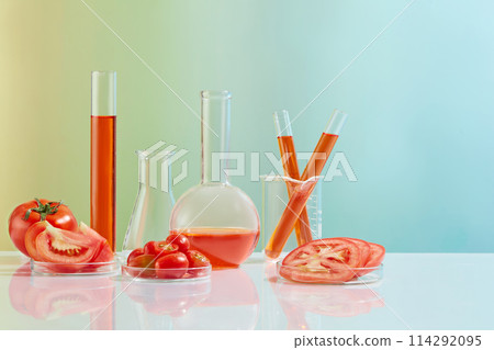 Several laboratory instrument placed on white table with fresh tomato, the preparation for researching product has ingredient from nature. Photo was taken from front view with space for text 114292095