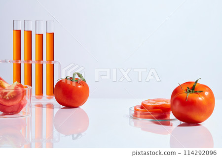 Creative photo of tomato and lab theme on white background, vacant space in center for displaying product. Photo was taken from front view, space for adding text Creative photo of tomato and lab theme on white background, vacant space in center for displaying product. Photo was taken from front view, space for adding text 114292096