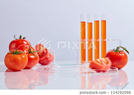 An empty podium in round shaped in center, surrounded by laboratory items and fresh tomato, a rack of test tube, which filled by red fluid. Front view, copy space An empty podium in round shaped in center, surrounded by laboratory items and fresh tomato, a rack of test tube, which filled by red fluid. Front view, copy space 114292098