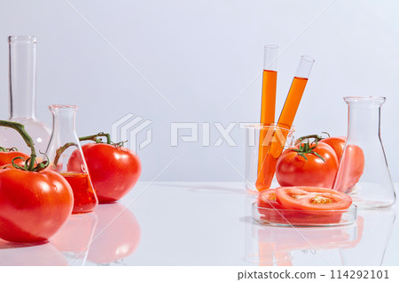 Tomato in laboratory concept featured on white background, photo for advertise organic product which made from tomato. Blank space for advertising, front view 114292101
