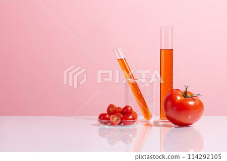Pink background against a group of lab items, ripe tomato, cherry tomatoes and tomato extract. Creative template was taken from front view with copy space 114292105