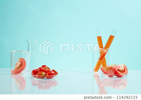 Laboratory instruments displayed on blue background with tomato ingredient, photo for advertise product made from fresh organic material such as tomato. Vacant space for design, front view 114292115