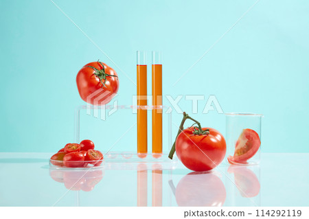 Fresh material for manufacturing organic product and equipments for experiment, ripe tomato, test tube with red liquid, test tube rack and beaker. Advertising photo for organic product, front view 114292119