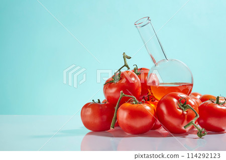 A pile of fresh tomato featured on the right side of photo with a boiling flask contains red liquid placed above. Copy space for adding text, front view photo 114292123
