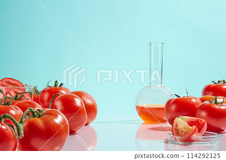 Ripe tomatoes neatly arranged on table against blue background with lab instruments. Photo for tomato experiment concept with blank space for adding text for elements of design 114292125