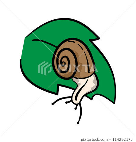 Snail crawling down on a green leaf in hand-drawn style, concept about a rainy season. Isolated vector illustration for print, digital and more design. Snail crawling down on a green leaf in hand-drawn style, concept about a rainy season. Isolated vector illustration for print, digital and more design. 114292173