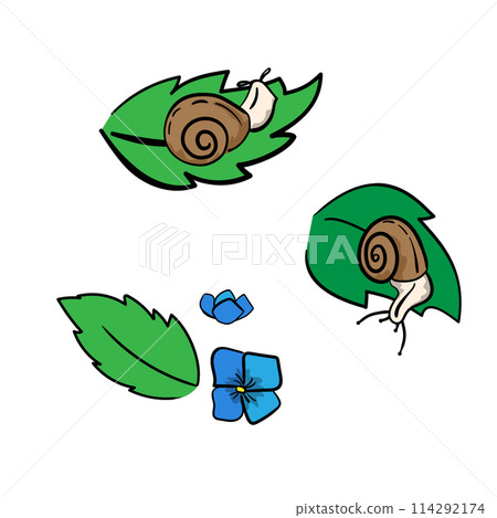 Set of snails on a green leaf, flowers in hand-drawn style, concept about a rainy season. Isolated vector illustration for print, digital and more design. 114292174