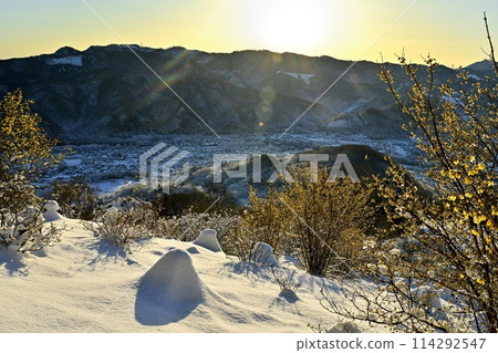長瀞町寶登山山頂，朝陽下白雪覆蓋的露白庭園 114292547