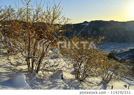 長瀞町寶登山山頂，朝陽下白雪覆蓋的露白庭園 114292551