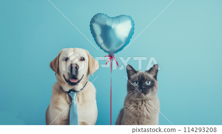 Background photo of a Labrador retriever, a cat and a balloon 114293208