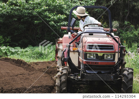 Woman plowing the field with a tractor 114293304
