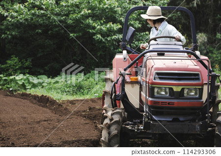 一個女人用拖拉機耕地 114293306