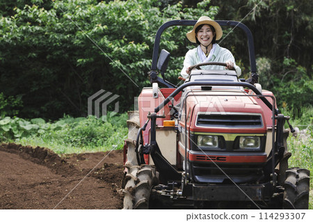 Woman plowing the field with a tractor 114293307