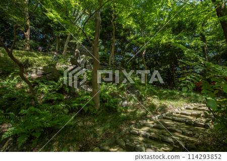 Koishikawa Korakuen Koishikawa, Bunkyo-ku, Tokyo Koishikawa Korakuen Koishikawa, Bunkyo-ku, Tokyo 114293852