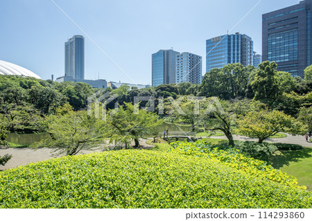 東京都文京區小石川後樂園 小石川 東京都文京區小石川後樂園 小石川 114293860