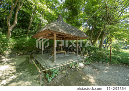 Koishikawa Korakuen Koishikawa, Bunkyo-ku, Tokyo 114293864