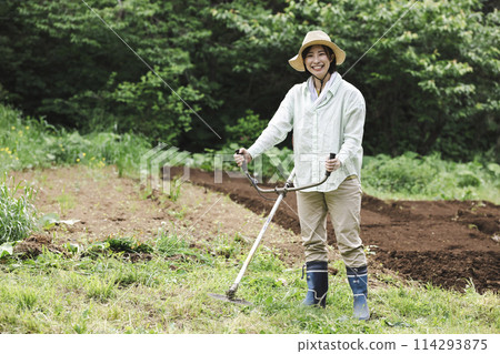 Woman cutting weeds with a lawnmower 114293875