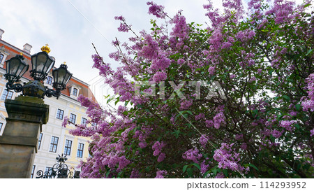 Drezden, Germany - fragment of architecture and historical building at center 114293952