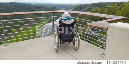 Elderly grandmother in wheelchair with granddaughter in spring nature. 114294024