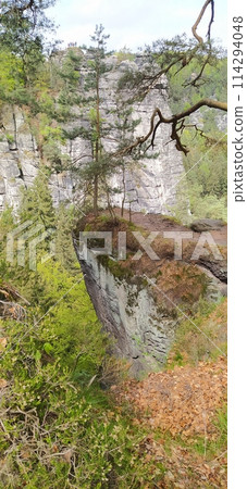 Beautiful summer view of Elbe river from Bastei view pont. Colorful morning scene of Saxon Switzerland national park, Germany, Europe. 114294048