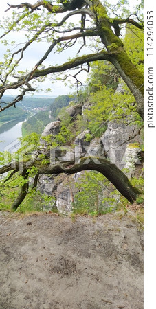 Beautiful summer view of Elbe river from Bastei view pont. Colorful morning scene of Saxon Switzerland national park, Germany, Europe. Beautiful summer view of Elbe river from Bastei view pont. Colorful morning scene of Saxon Switzerland national park, Germany, Europe. 114294053