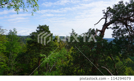 Beautiful summer view of Elbe river from Bastei view pont. Colorful morning scene of Saxon Switzerland national park, Germany, Europe. 114294079
