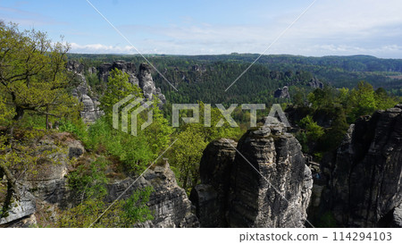 Beautiful summer view of Elbe river from Bastei view pont. Colorful morning scene of Saxon Switzerland national park, Germany, Europe. 114294103