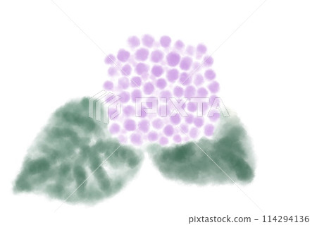 Purple hydrangea illustration 114294136